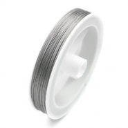 Metaaldraad 100 meter 0.45mm Transparant-zilver