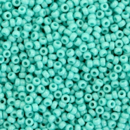 Miyuki 11/0 rocailles Opaque turquoise green 11-412