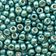 Miyuki 6/0 rocailles Duracoat galvanized sea foam green 6-4217