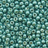 Miyuki 8/0 rocailles Duracoat galvanized sea foam green 8-4217