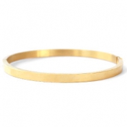 Armbanden van Stainless Steel Roestvrij staal (RVS) Goud