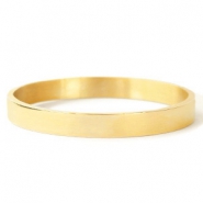 Armbanden van Stainless Steel Roestvrij staal (RVS) Goud