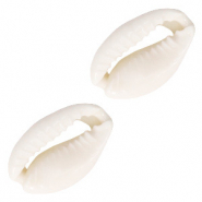 Kauri schelp kralen Naturel white