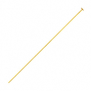 Benodigdheden van Stainless steel Roestvrij staal (RVS) nietstift 40mm Goud