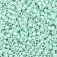 Miyuki kralen 11/0 delica's Duracoat opaque dyed mint aqua blue DB-2356