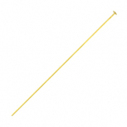 Benodigdheden van Stainless steel Roestvrij staal (RVS) nietstift 50mm Goud