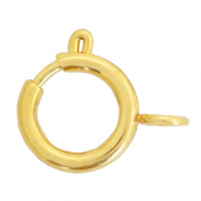 Benodigdheden van Stainless steel Roestvrij staal (RVS) slotje 14x17mm Goud