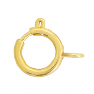 Benodigdheden van Stainless steel Roestvrij staal (RVS) slotje 12x14mm Goud