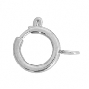 Benodigdheden van Stainless steel Roestvrij staal (RVS) slotje 12x14mm Zilver