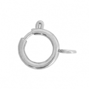 Benodigdheden van Stainless steel Roestvrij staal (RVS) slotje 10x12mm Zilver
