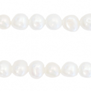 BQ Zoetwater parels nugget rond 7-8mm Naturel white
