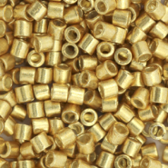 Miyuki kralen 8/0 delica's Duracoat galvanized gold DBL-1832