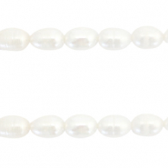 BQ Zoetwater parels rice 7x6mm Natural white