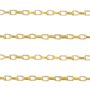 Benodigdheden van Stainless steel Roestvrij staal (RVS) jasseron Venetiaanse ketting Goud