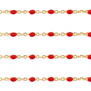 Benodigdheden van Stainless steel Roestvrij staal (RVS) jasseron 1mm Samba red-goud