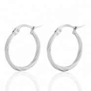 Oorbellen van Stainless steel Roestvrij staal (RVS) creolen Zilver