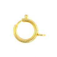 Benodigdheden van Stainless steel Roestvrij staal (RVS) boeislot 12mm Goud