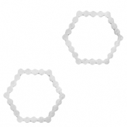 Bedels van Stainless steel Roestvrij staal (RVS) tussenstuk hexagon Zilver