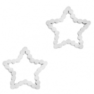Bedels van Stainless steel Roestvrij staal (RVS) tussenstuk star Zilver