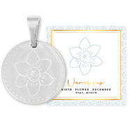 Mix & Match bedels van Stainless steel Roestvrij staal (RVS) 15mm Birth flower December-Narcissus Zilver
