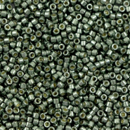 Miyuki kralen 11/0 delica's Duracoat galvanized steel green DB-2512