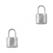 Bedels van Stainless steel Roestvrij staal (RVS) slot Zilver
