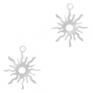 Bedels van Stainless steel Roestvrij staal (RVS) zon Zilver