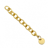 Benodigdheden van Stainless steel Roestvrij staal (RVS) verlengketting coin 8mm Goud