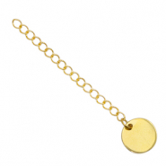 Benodigdheden van Stainless steel Roestvrij staal (RVS) verlengketting coin 12mm Goud