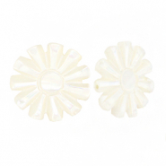 Schelp kralen sun White (natuurlijke kleur)