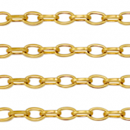 Benodigdheden van Stainless steel Roestvrij staal (RVS) jasseron ankerketting Goud