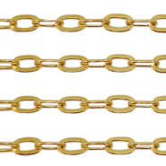Benodigdheden van Stainless steel Roestvrij staal (RVS) jasseron ankerketting Goud