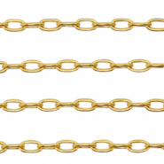 Benodigdheden van Stainless steel Roestvrij staal (RVS) jasseron ankerketting Goud