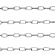 Benodigdheden van Stainless steel Roestvrij staal (RVS) jasseron ankerketting Zilver