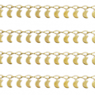 Benodigdheden van Stainless steel Roestvrij staal (RVS) jasseron moon Goud