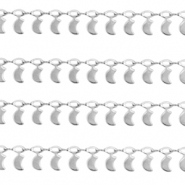 Benodigdheden van Stainless steel Roestvrij staal (RVS) jasseron moon Zilver