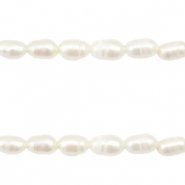 BQ Zoetwater parels rice 7x5mm Natural white