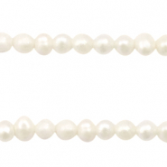Zoetwater parels rond 3mm Natural white