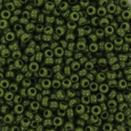 Miyuki 11/0 rocailles Opaque avocado green 11-501
