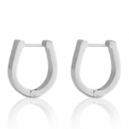 Oorbellen van Stainless steel Roestvrij staal (RVS) horseshoe Zilver
