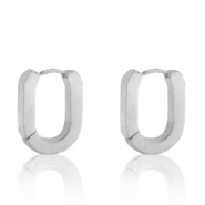Oorbellen van Stainless steel Roestvrij staal (RVS) oval Zilver