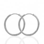 Oorbellen van Stainless steel Roestvrij staal (RVS) creolen 19mm Silver