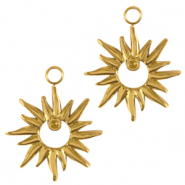 Bedels van Stainless steel Roestvrij staal (RVS) star Goud