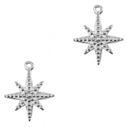 Bedels van Stainless steel Roestvrij staal (RVS) star Silver