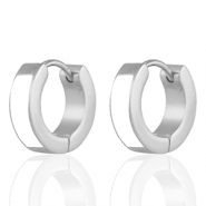 Oorbellen van Stainless steel Roestvrij staal (RVS) White-silver