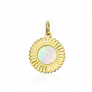 Bedels van Stainless steel Roestvrij staal (RVS) shell 12mm Gold-white (natuurlijke kleur)
