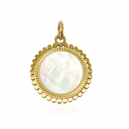 Bedels van Stainless steel Roestvrij staal (RVS) shell 12mm Gold-white (natuurlijke kleur)
