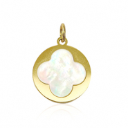 Bedels van Stainless steel Roestvrij staal (RVS) shell clover Gold-white (natuurlijke kleur)