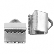 Benodigdheden van Stainless steel Roestvrij staal (RVS) lintklem 6mm Silver