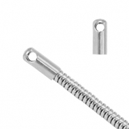 Benodigdheden van Stainless steel Roestvrij staal (RVS) eindkap voor jasseron snake &Oslash;2.5mm Zilver